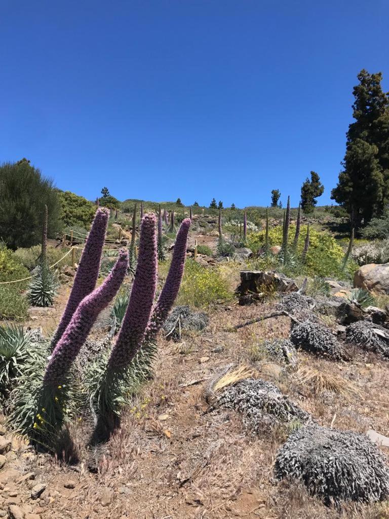 Finca Caboquitos Garafía المظهر الخارجي الصورة