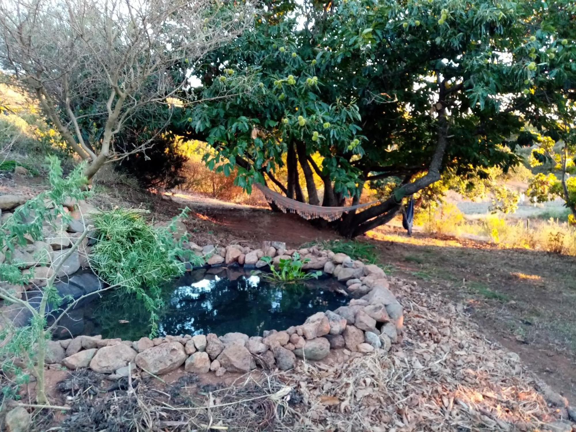 Finca Caboquitos Garafía المظهر الخارجي الصورة